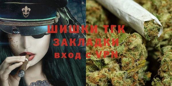 ГАЛЛЮЦИНОГЕННЫЕ ГРИБЫ Балабаново