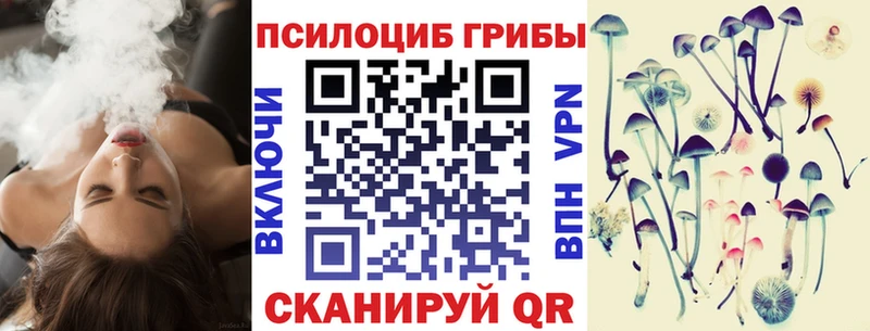 Псилоцибиновые грибы GOLDEN TEACHER  Реутов 